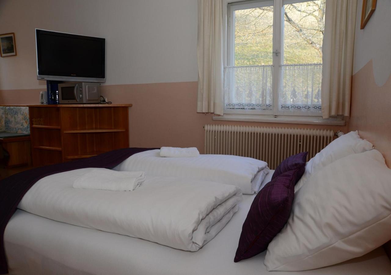 Pension Sonnenheim Rooms&Apartments Gmund in Karnten Room photo